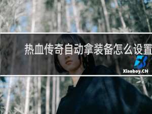 热血传奇自动拿装备怎么设置
