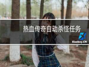 热血传奇自动杀怪任务