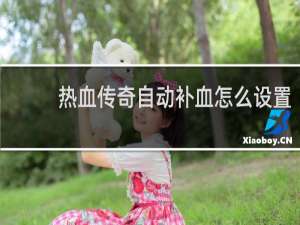 热血传奇自动补血怎么设置