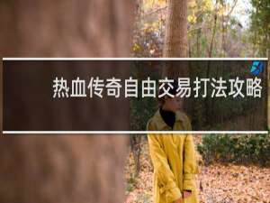 热血传奇自由交易打法攻略