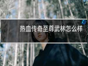 热血传奇至尊武林怎么样