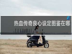 热血传奇良心设定图鉴在哪