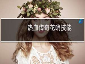 热血传奇花哨技能
