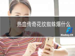 热血传奇花纹蜘蛛爆什么