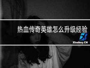热血传奇英雄怎么升级经验