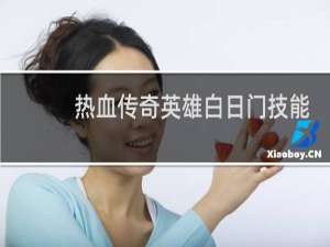 热血传奇英雄白日门技能