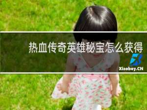 热血传奇英雄秘宝怎么获得