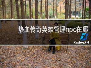 热血传奇英雄管理npc在哪