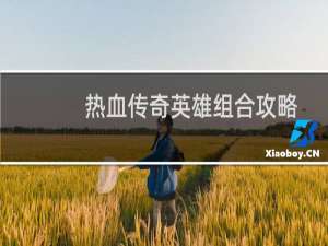 热血传奇英雄组合攻略