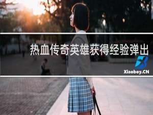 热血传奇英雄获得经验弹出