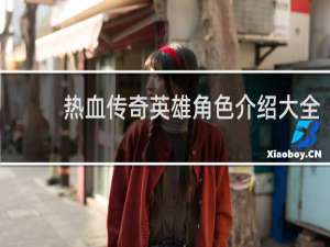 热血传奇英雄角色介绍大全