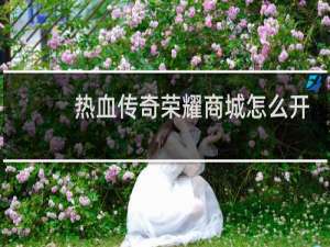 热血传奇荣耀商城怎么开