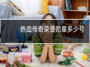 热血传奇荣誉勋章多少号