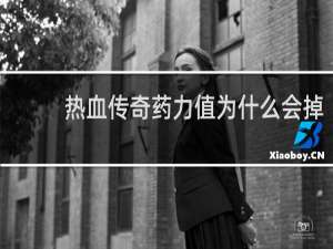 热血传奇药力值为什么会掉