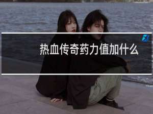 热血传奇药力值加什么