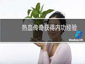 热血传奇获得内功经验