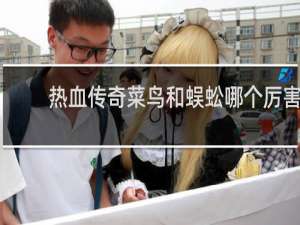 热血传奇菜鸟和蜈蚣哪个厉害