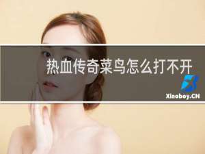 热血传奇菜鸟怎么打不开