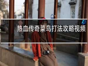 热血传奇菜鸟打法攻略视频