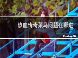 热血传奇菜鸟问题在哪进