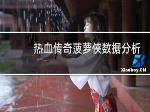 热血传奇菠萝侠数据分析