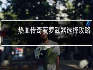 热血传奇菠萝武器选择攻略