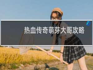 热血传奇萌芽大哥攻略