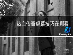 熱血傳奇虐菜技巧在哪看