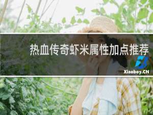 热血传奇虾米属性加点推荐