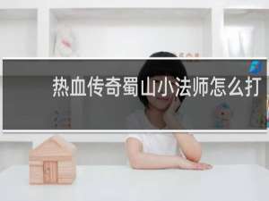 热血传奇蜀山小法师怎么打