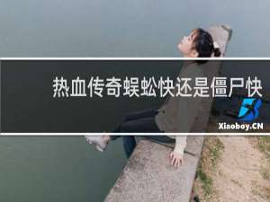 热血传奇蜈蚣快还是僵尸快