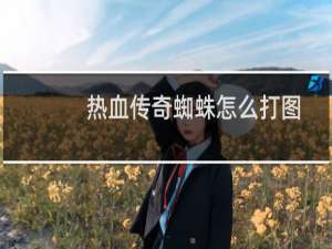 热血传奇蜘蛛怎么打图