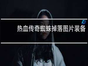 热血传奇蜘蛛掉落图片装备