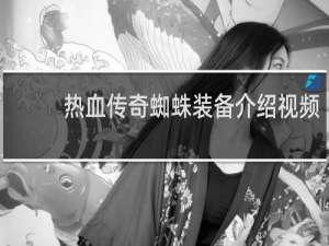 热血传奇蜘蛛装备介绍视频
