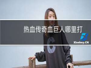 热血传奇血巨人哪里打