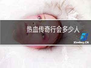 热血传奇行会多少人