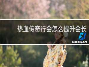 热血传奇行会怎么提升会长