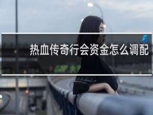 热血传奇行会资金怎么调配