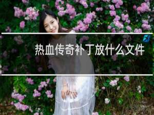 热血传奇补丁放什么文件