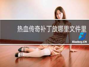 热血传奇补丁放哪里文件里
