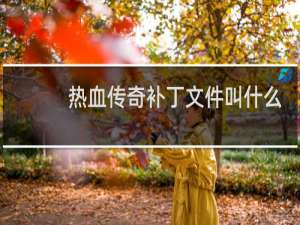 热血传奇补丁文件叫什么