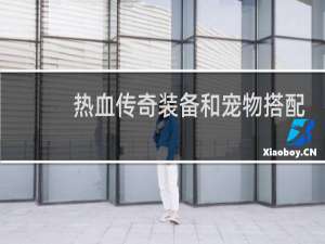 热血传奇装备和宠物搭配