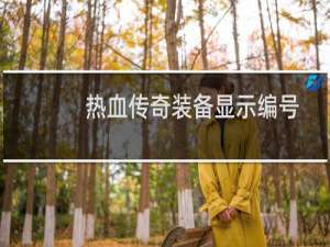 热血传奇装备显示编号