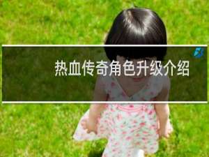 热血传奇角色升级介绍