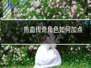 热血传奇角色如何加点