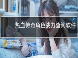 热血传奇角色战力查询软件