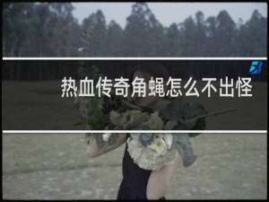 热血传奇角蝇怎么不出怪
