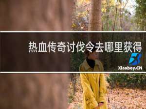 热血传奇讨伐令去哪里获得