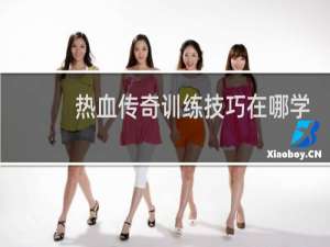 热血传奇训练技巧在哪学