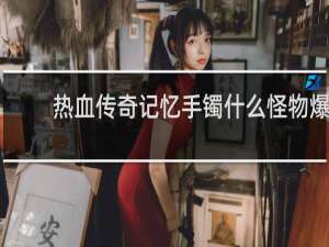 热血传奇记忆手镯什么怪物爆